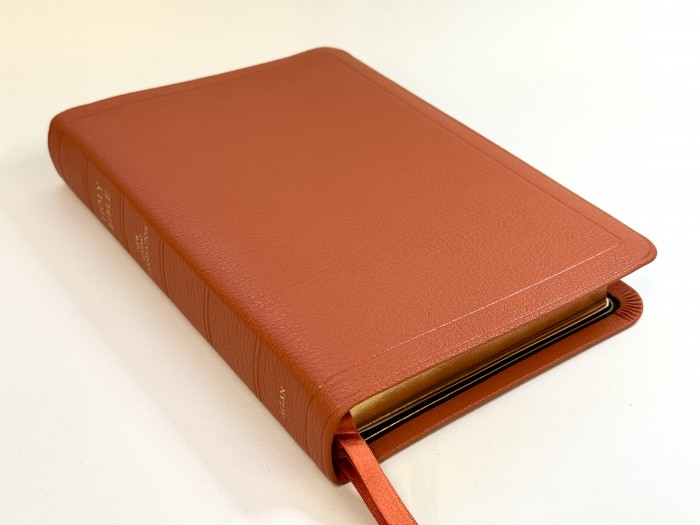 Allan New Living Translation Readers Reference Edition Orange Goatskin