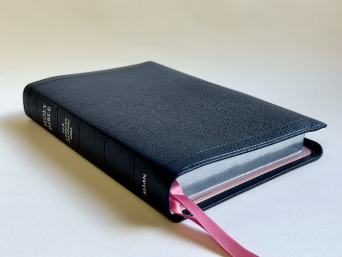 Allan New American Standard Bible Readers Edition Navy Blue Goatskin with Pink Silver Line Edition