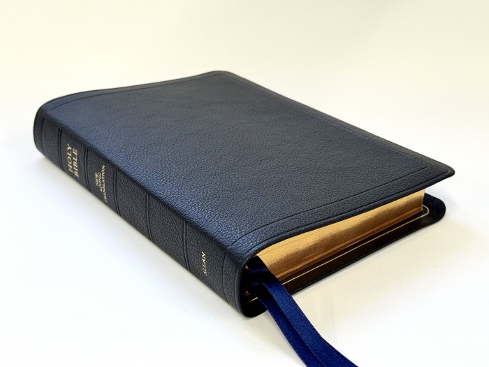 Allan New Living Translation Readers Reference Edition Black Goatskin