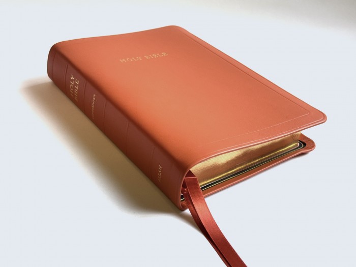 Allan 52 Longprimer Orange Meriva Calfskin - Leather-lined