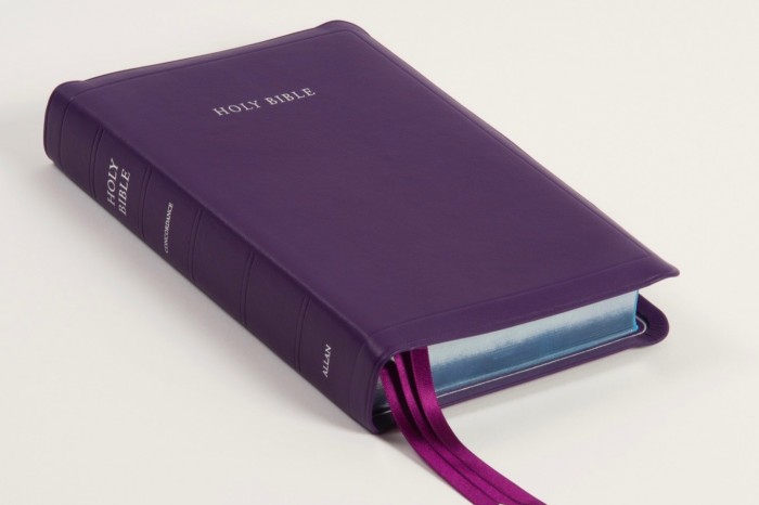 Allan 62 Longprimer Sovereign Plum Meriva Calfskin Silver Line Edition