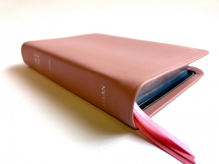 Allan Ruby Reference Edition Pink Meriva Calfskin Silver Line