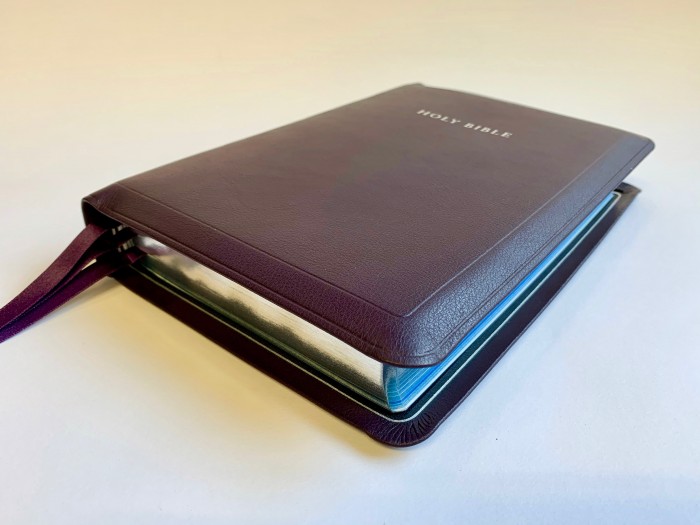 Allan 52 Longprimer Purple Meriva Calfskin - Leather-lined - Image 2