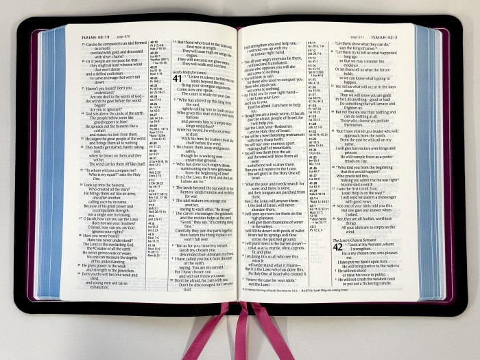 Allan New Living Translation Readers Reference Edition Black Goatskin with Pink SILVER LINE - Image 4