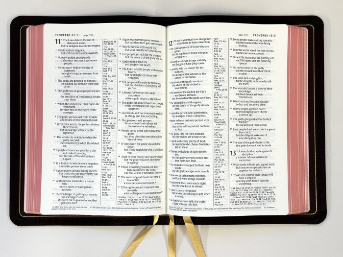 Allan New Living Translation Readers Reference Edition Dark Brown Goatskin - Image 4