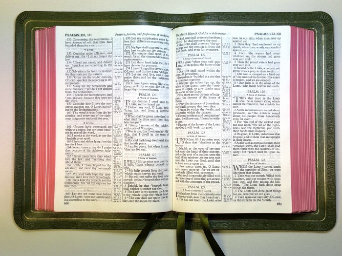 Allan 53 Longprimer Olive Green Highland Goatskin FIRST EDITION - Image 4