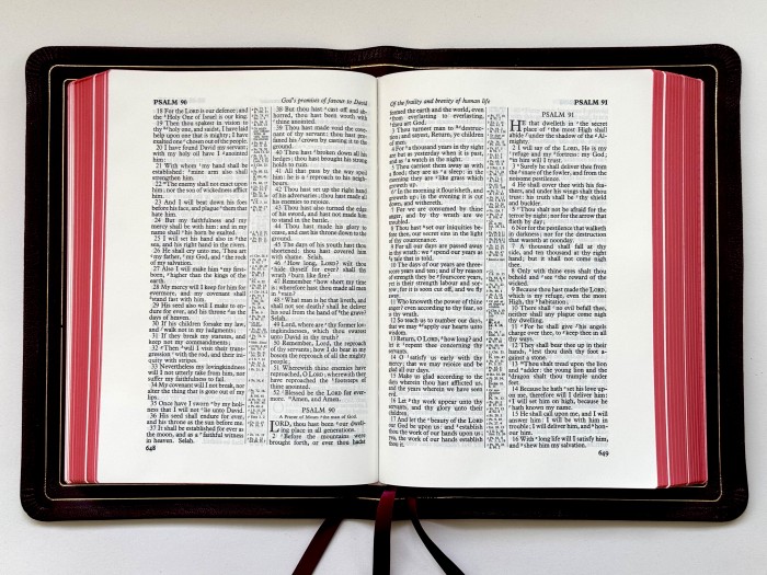 Allan 63 Longprimer Sovereign Burgundy Highland Goatskin FIRST EDITION - Image 4