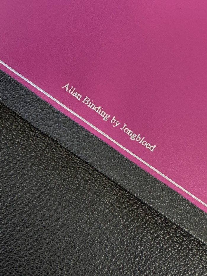 Allan New Living Translation Readers Reference Edition Black Goatskin with Pink SILVER LINE - Image 3