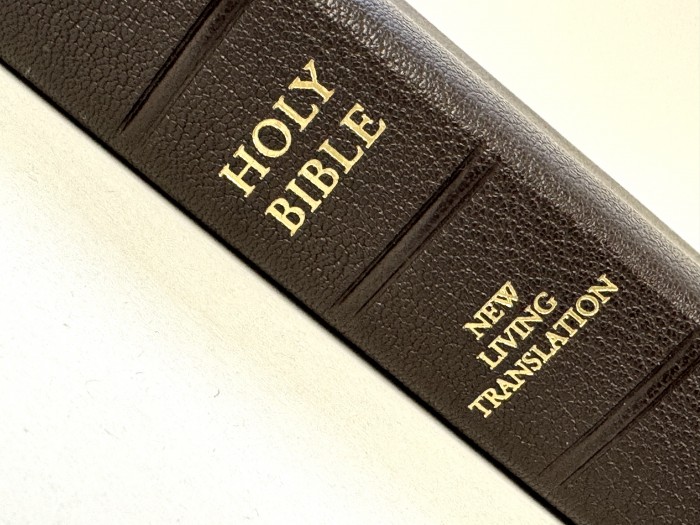 Allan New Living Translation Readers Reference Edition Dark Brown Goatskin - Image 3